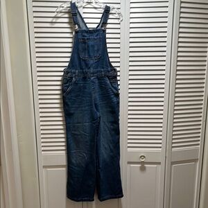 Cat and Jack Blue Denim Overalls